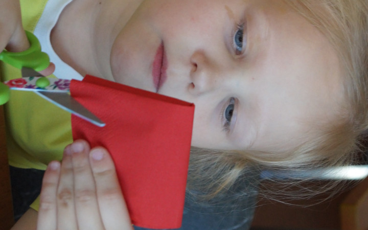 Гвоздика - символ Дня Победы