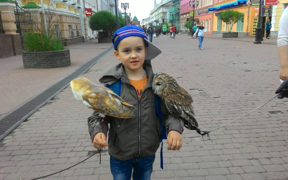 Путевые заметки