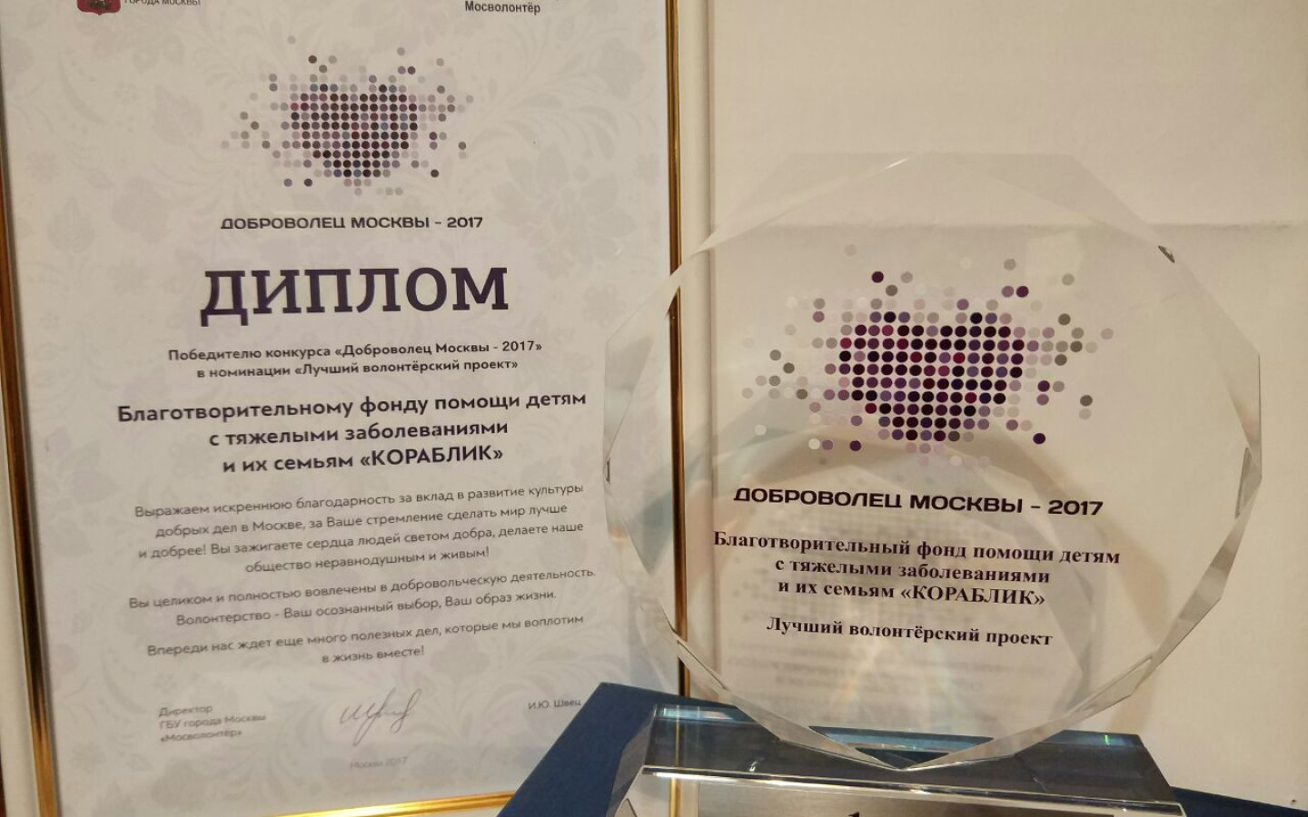 Доброволец Москвы - 2017