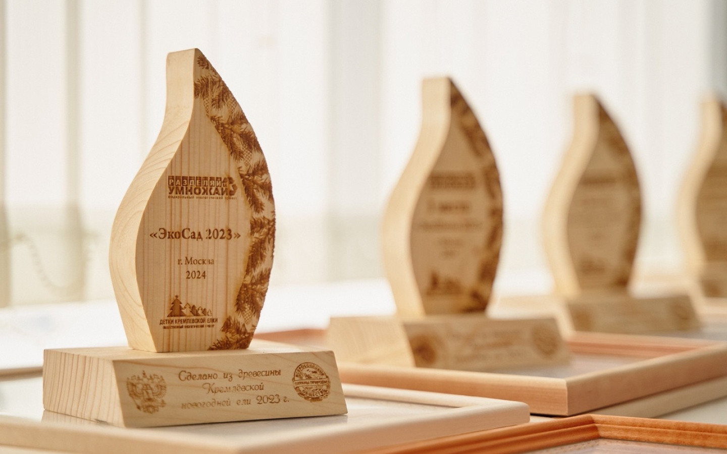 Итоги конкурсов федерального эколого-просветительского проекта «Разделяй и умножай»